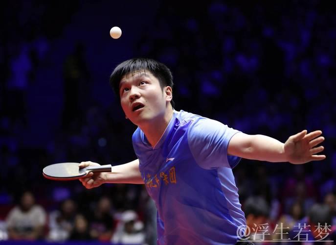 樊振东尽显竞技体育的激情与力量！